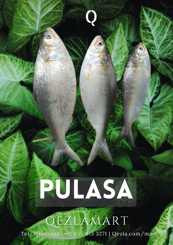 Pulasa