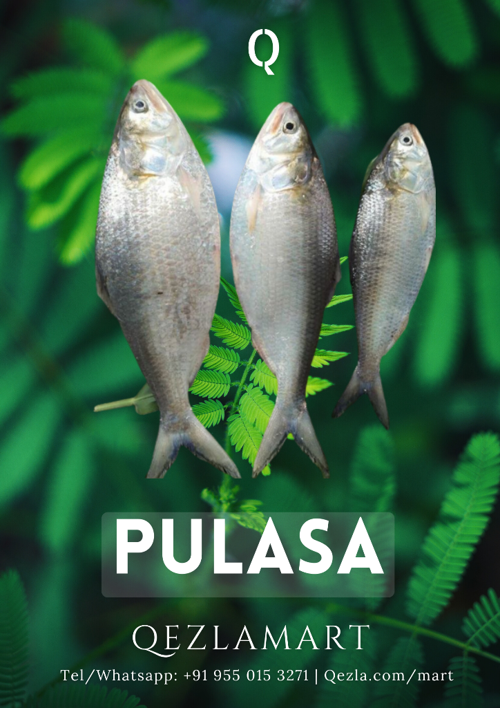 Pulasa_QezlaMart